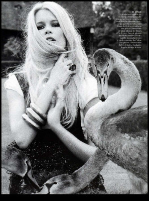 Claudia Schiffer pic #65140